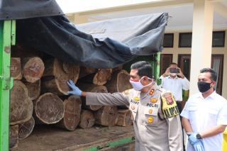 Polres Majalengka Polda Jabar Amankan Delapan Pelaku Illegal Logging
